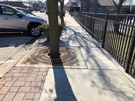 Image of large grate around the base of a tree in a downtown sidewalk