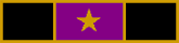 Honor Guard stripe